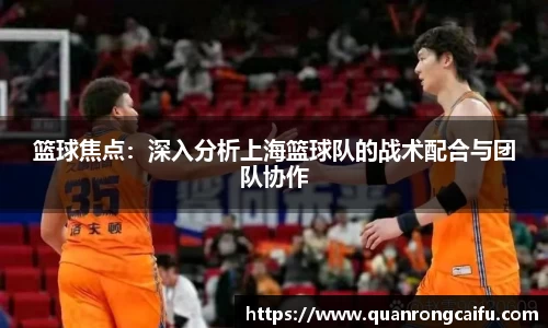 篮球焦点：深入分析上海篮球队的战术配合与团队协作
